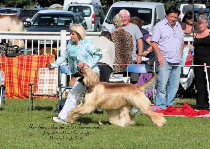 De koulangar - EXPOSITION BURNEMOUTH CH.SHOW  15/08/2016