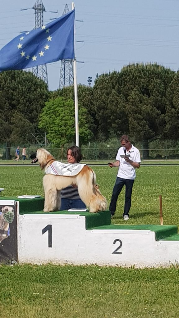 De koulangar - ROMANCE AU CHAMPIONNAT DE FRANCE RACING 14/05/2022