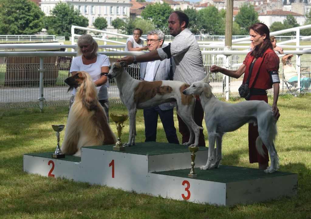 De koulangar - EXPOSITION DE JARNAC  01/07/2018