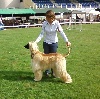  - EXPOSITION NATIONALE DE CAHORS  LE 05/08/2012