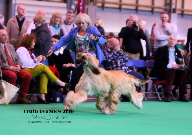 De koulangar - CRUFTS  13/03/2016