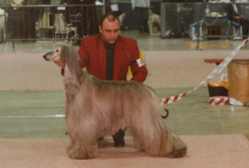 CH. Florian De koulangar