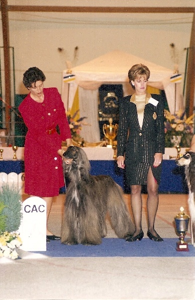 CH. Gala gali De koulangar