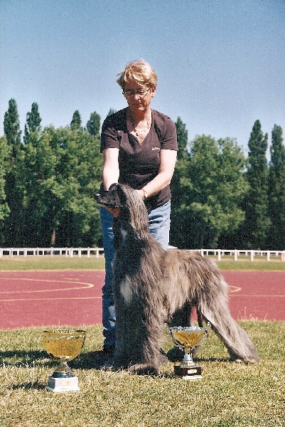 CH. Sekata nefertiti De koulangar