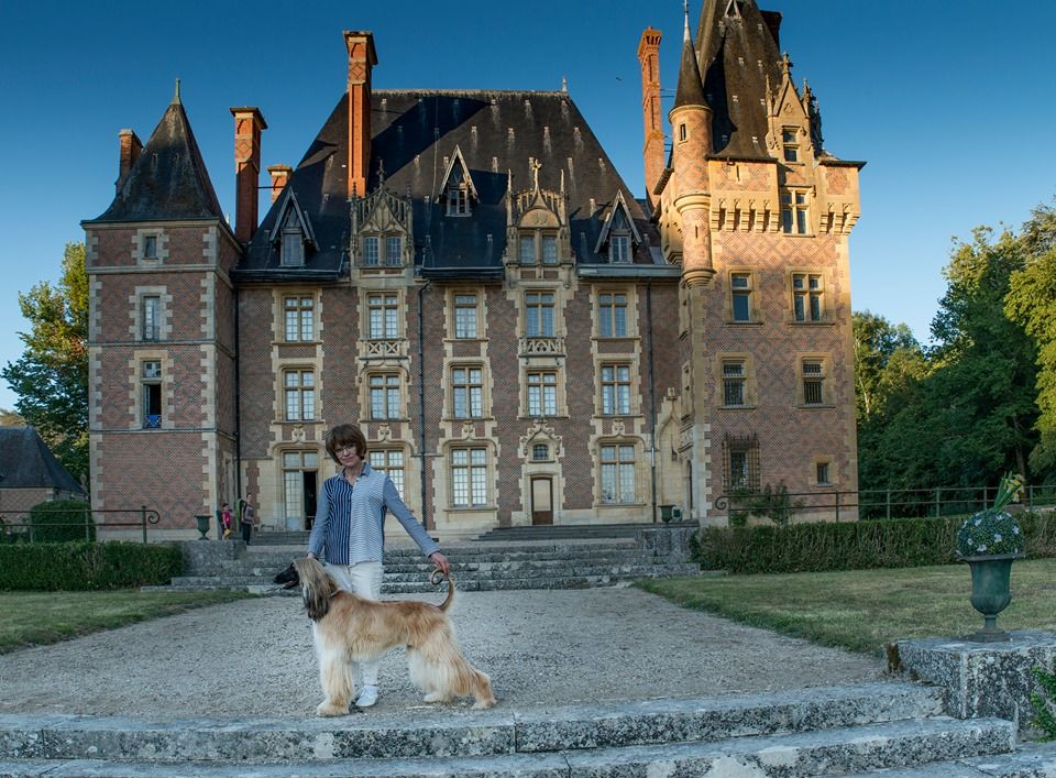De koulangar - NATIONALE D'ELEVAGE AU CHATEAU D'AVRILLY 20/07/2019